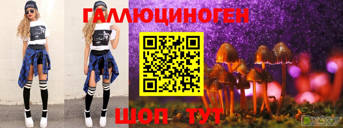 Галлюциногенные грибы Psilocybe Краснознаменск