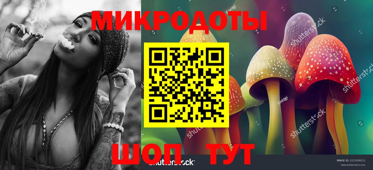 Краснознаменск  Галлюциногенные грибы Psilocybe  Псилоцибиновые грибы Psilocybe  Вход с VPN 